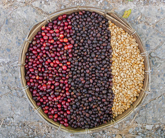 What does "washed" actually mean? A quick guide to coffee processing